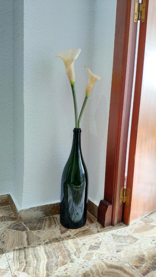 Perfect Apartment Near The Beach Alicante Eksteriør bilde